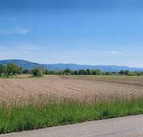 Schnell sein lohnt sich ... - 120.000,00 EUR Kaufpreis, ca.  0,00 m² in Ötigheim (PLZ: 76470)