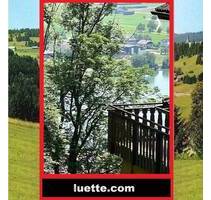 Entdecken Sie Ihre neue traumhafte gelegene 3-Zi-Whg, Rheinblick, ruhige Sackgassenlage, Waldrand, EBK, Essbar, Bad W... - Waldshut-Tiengen