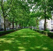 Arbeiten mit Komfort: Zentrale Büros in Krefeld - flexibel, möbliert, provisionsfrei!