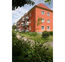 Helle 2-Zimmer-Wohnung sucht neuen Mieter! - Senftenberg