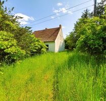 Einfamilienhaus auf großem Grundstück zwischen Grimmen und Demmin - Glewitz / Strelow-Turow