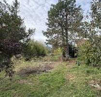 Traumhaftes Baugrundstück für Ihr neues ScanHaus! - Wiedemar