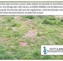 Rank und schlank! Grundstück am Ortsrand - Gerstungen Sallmannshausen