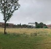 ZFH, 2 EFH und großes Baugrundstück für 5 EFH! - Möckern - Stegelitz