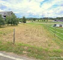 Baugrundstück mit genehmigtem Projekt für ein 6-Familienhaus in Newel bei Trier