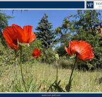 Sonniges Grundstück in begehrter Lage nahe Obersee - Platz für Ihre Wohnträume - Berlin Alt-Hohenschönhausen
