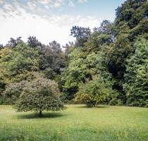 Ruhiges Baugrundstück in Stolzenhagen - Bis 1238 qm in Seenähe und direkt am Wald! - Wandlitz