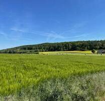Großes, bebaubares Grundstück in ruhiger Lage von Liebenau-Ersen