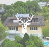 Großzügig geschnittene Wohnung in ruhiger Lage von Eschbach zu vermieten - Waldshut-Tiengen