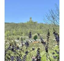 Split-Level-Haus mit unverbaubarem 180° Blick auf die Königsteiner Burg - Königstein im Taunus