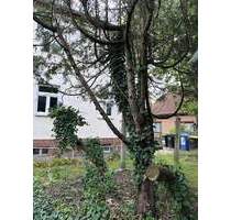 Ausbaufähiges kleines Mehrfamilienhaus mit Baulandreserve in verkehrsgünstiger Mahlsdorf Lage - Berlin-Mahlsdorf