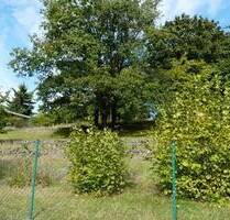 Bahren Loreley - Großes Grundstück mit 2 Stück WE - Häuser - B Plan ist in arbeit (noch nicht fertig rechtskräftig) - Grimma