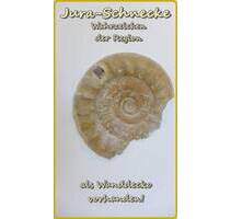 *** T O P - sanietes & renoviertes Einfamilienwohnhaus in Greding ***