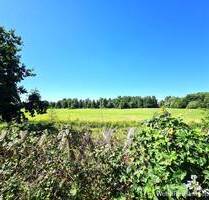 Idyllisches Teilungsgrundstück mit unverbaubarem Weitblick - Erkner
