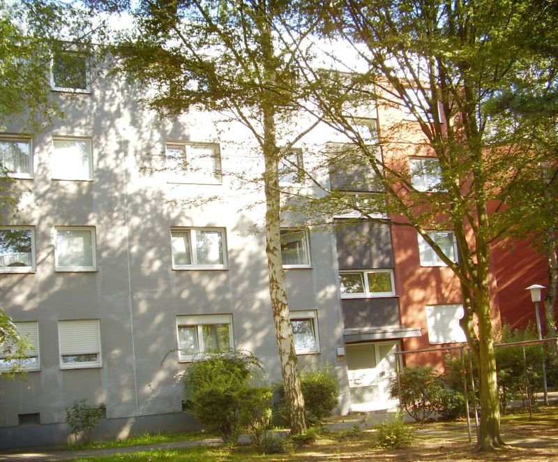 Gemütliche 2-Zimmer-Wohnung mit zwei Balkonen - Wiesbaden Dotzheim