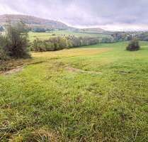 kleine WIESE Nähe Weißenburg OT Niederhofen Gänswirtshaus - Weißenburg Oberhochstatt