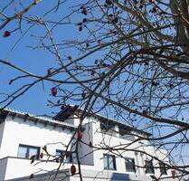 * ERSTBEZUG * - Gemütliches REIHEN-HAUS mit DACHTERRASSE - Waldkraiburg Nord