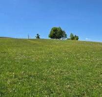 Baugrundstück mit angrenzender Wiesenfläche in idyllischer Lage - 5.900 m²! - Ehlenz