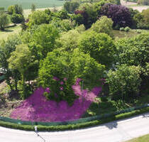 Herrliches Baugrundstück im fränkischen Seenland am See! Ab ca. 540m² für Ihr Traumhaus! - Haundorf Brombach