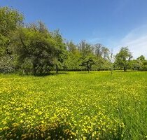 Weitläufiges Gartengrundstück - ruhige Lage in Waldnähe - Ehningen