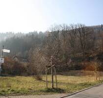 Sie planen Ihr Traumhaus und suchen ein Grundstück in ruhiger Lage... - Hausen