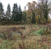 Superschnäppchen! Gartengrundstück für Freizeitgestaltung - Wittstock/Dosse Biesen