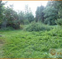 Freizeitgrundstück in der Gemarkung von Steinau mit 2 Teichen, Brunnen und Gartenhütte - Steinau an der Straße Ulmbach