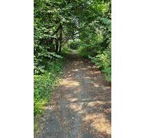 Zwischen Wald, Acker, Wiese und Dorfrand! - Rossin
