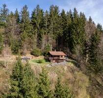 Berghütte mit 3 ha Wald im Naturschutzgebiet Adelegg - Ruhe und Natur pur mit herrlicher Alpensicht - Isny Wengen