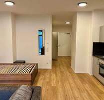 Loftige, möblierte 1-Zimmer-Wohnung mit großer Terrasse zum Erstbezug! - Nürnberg Gostenhof