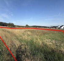 Ideal für Pendler - Großes Eckgrundstück, ruhig gelegen - Strüth