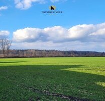 Landwirtschaftliches Grundstück im Süden von Augsburg - Augsburg / Bergheim Göggingen