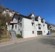 Renovierte 1-Zimmerwohnung mit Sonnenterrasse - Bad Dürkheim / Hardenburg