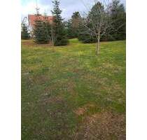 Das schlanke Town & Country Doppelhaus in Eschwege OT Oberdünzebach - urbanes Wohnen zweifach gen...