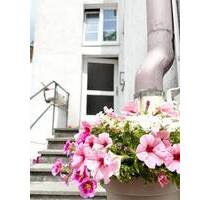 Vermietetes Mehrfamilienhaus mit 4 Wohnungen. Rückbau als grosse Loftwohnungen möglich! Zentrale Lage zur Stadt. - Radolfzell am Bodensee