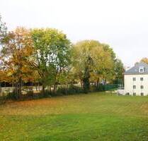 3-Zimmer-Whg. mit Balkon und TG-Stellplatz - Frei ab 1. Oktober 2025 - Regensburg Westenviertel