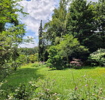Großes Parkgrundstück in unverbaubarer Lage im Herzen des Rhein-Main-Gebietes - Hofheim am Taunus - Langenhain