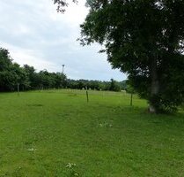 Selbstversorgerhof bei Belgern mit Scheune, Nebengelass und Garten wartet auf kreative Gestalter! - Belgern-Schildau OT Seydewitz