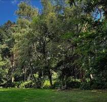 Sonnenverwöhntes Naturdomizil mit Urlaubsflair im Wannebachtal - Dortmund Buchholz