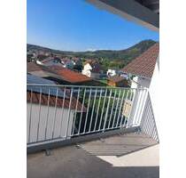 Sehr schön geschnittene 3 Zimmer Neubau Wohnung Engen Neuhausen