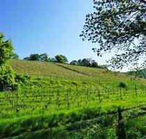 In den Radebeuler Weinbergen - 2.050,00 EUR Kaltmiete, ca.  157,50 m² Wohnfläche in Radebeul (PLZ: 01445)