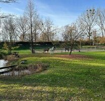 Besonderes Anwesen mit Wohnhaus und großem Stallgebäude (ca. 1000 m²) zur vielfältigen Nutzung - Hedwigsburg