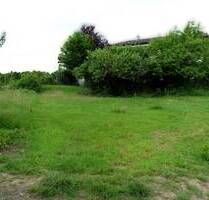 IMMOBILIEN LONNY** Baugrundstück in Ruppichteroth