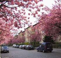Sonniger Balkon gewünscht? - 804,00 EUR Kaltmiete, ca.  50,30 m² Wohnfläche in Berlin (PLZ: 10315) Friedrichsfelde