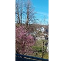 Schöne Etagenwohnung mit Aussicht und Garage - Hagenbach