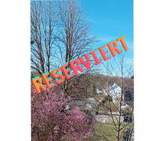 Schöne Etagenwohnung mit Aussicht und Garage - Hagenbach