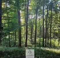 Älterer Laub-Mischwald I ökologisch & klimastabil I sehr gute Erschließung - Ursberg Mindelzell