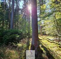 Grün, nachhaltig & regional. Wald als wertstabiles Investment! - Böhmfeld