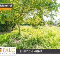 Naturnahe Grünfläche mit vielseitigem Nutzungspotenzial - aktuell Gartenland, perspektivisch mehr? - Mönchengladbach Giesenkirchen - Nord
