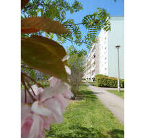Top renovierte 3-Raum-Wohnung - 540,00 EUR Kaltmiete, ca.  60,00 m² Wohnfläche in Schkeuditz (PLZ: 04435)